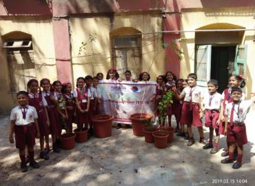 Maharashtra Highschool (1)