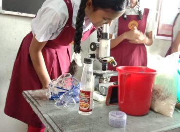 STEM Project 10