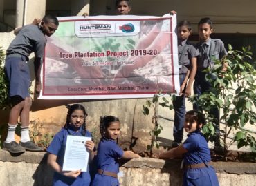 Environment - Tree Plantation