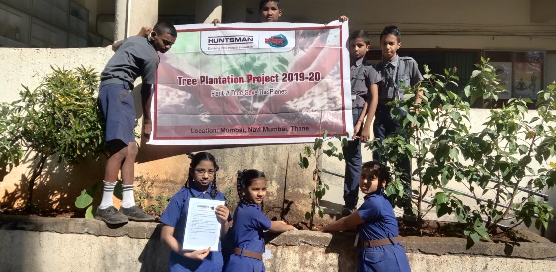 Environment - Tree Plantation Environment - Tree Plantation